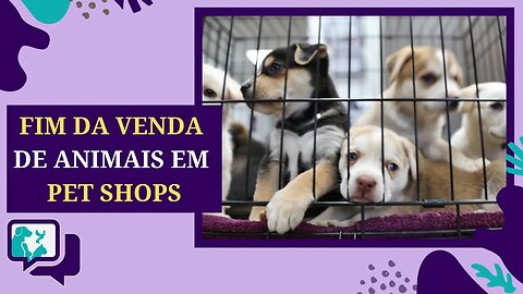 São Paulo PROÍBE VENDA de ANIMAIS em PET SHOPS e Estabelecimentos Comerciais