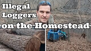 Illegal Loggers on the Homestead