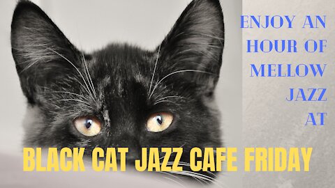 Enjoy an hour of mellow jazz at BLACK CAT JAZZ CAFE FRIDAY
