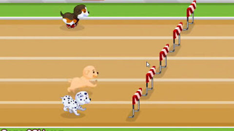 Puppy Racer corrida de cachorros