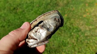 Metal Detecting Park | What the Heck is That? | Treasure Hunting