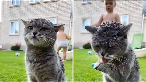 Child having bath with the cat.
