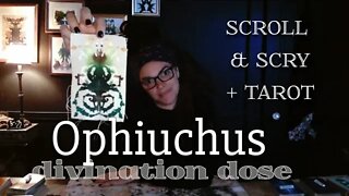 Ophiuchus ⛎ Akashic Apothecary, Alchemy and Awareness, Finches, Goldfish & more