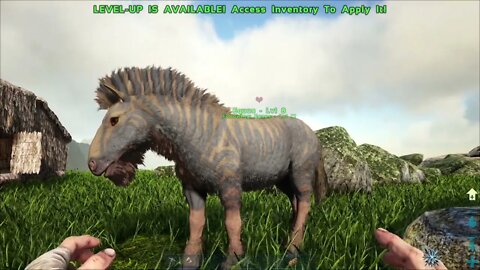 Ark - Survival Evolved