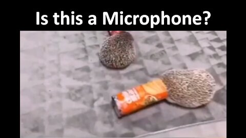 Have you ever seen microphone move itself? | new brand microphone