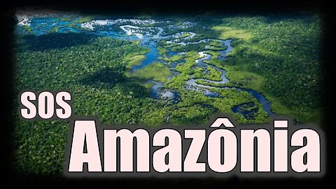 Acontecendo na Amazônia AGORA !