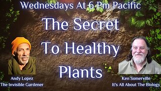 The Secret To Healthy Plants