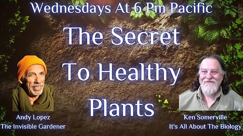 The Secret To Healthy Plants