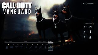Call of Duty: Vanguard Beta - Complete Look At Customization & Menus!