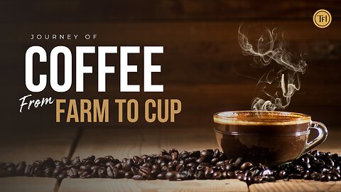Coffee From Farm To Cup Process Step By Step Video | Coffee Making Process | The Food Interval