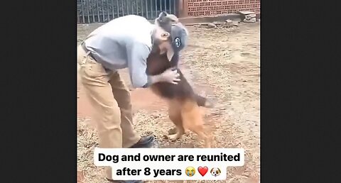 Dog and owner reunited after 8 years