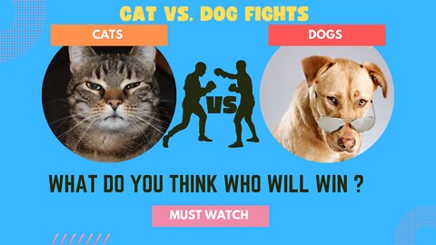 Cats Vs. Dogs | Funny Animal Friendly Fighting Compilation