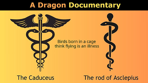 2024 Dragon Documentary