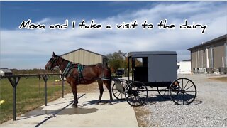 Mounttain View Market #mennonite #Amish #Creamry