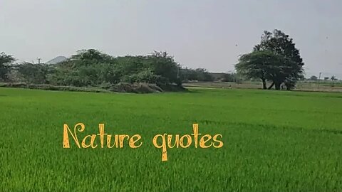 Nature's wonderful the beauty,#tourvlog,#naturelovers,#greeneryvideo,#naturequotes,#Andhrabeauty