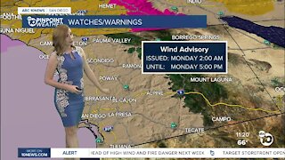 ABC 10News Pinpoint Weather with Leah Pezzetti