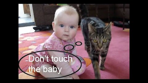 Cats and Babies: Setting up for Success