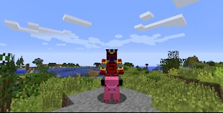 Minecraft: Pig Bike!!!