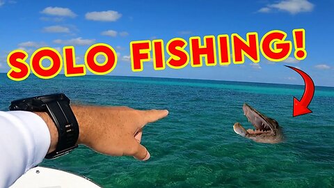 SOLO fishing | Barracuda vs Catfish catch and cook