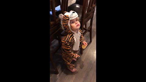 Baby In Tiger Outfit Totally Speechless After Meeting Man In Giraffe Outfit