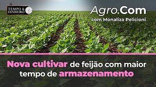 Agro.Com traz novidades sobre nova cultivar de feijão.