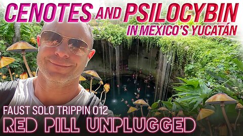 Cenotes and Psilocybin | Red Pill Unplugged Vlog | VLOG 012