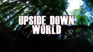 Upside Down World