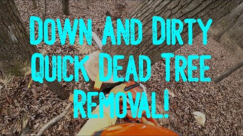 Down And Dirty Quick Dead Tree Removal