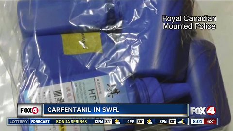 Carfentanil on the rise in Southwest Florida