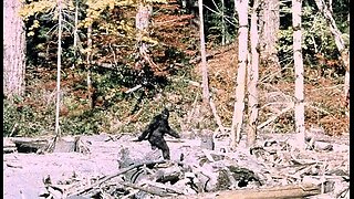 Patterson-Gimlin Film