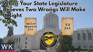 When Your State Legislature Believes Two Wrongs Make It Right
