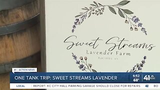 One Tank Trips: Sweet Streams Lavender