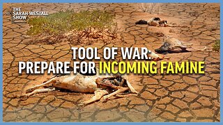 Incoming Famine, Food as a Weapon of War w/ Marjory Wildcraft