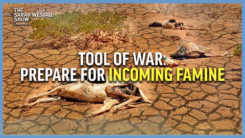 Incoming Famine, Food as a Weapon of War w/ Marjory Wildcraft