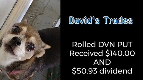 Rolled a DVN PUT and received $140. I also received a dividend of 50.93 from AGNC