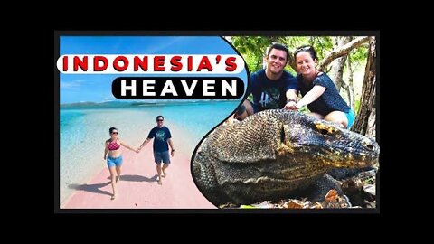 KOMODO island tour 🐉 - BEST Day Trip in Indonesia (Labuan Bajo)