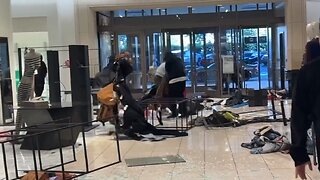 Mob Style Smash And Grab Robbery At Nordstrom In California