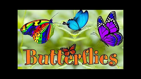Cute Butterflies| Unique Style butterfly song|Butterfly Family|New Nursery Rhyme 2024 | Kid Learning