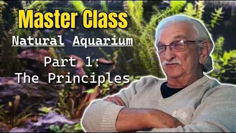 In This Master Class Learn The Principles Of Creating Natural Aquariums That Are Aquatic Ecosystems.
