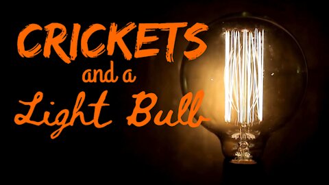 Crickets and a Light Bulb | Crickets and Light | What Else Is There?