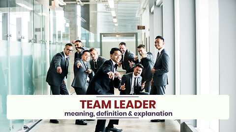 What is TEAM LEADER?