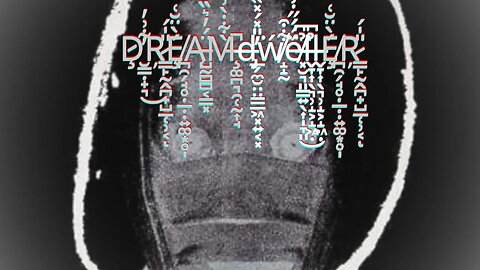F.M.V.A. » DREAMdwellER • connected w/ transitions ¿