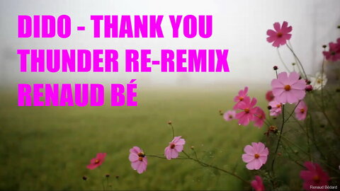 DIDO - THANK YOU (RENAUD BE THUNDER RE-REMIX)