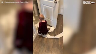 Bebé causa caos em casa com papel higiénico