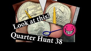 Look at This! - Quarter Hunt 38