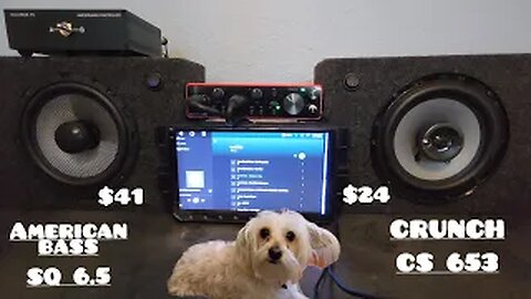 (Crunch cs653 VS American Bass sq6.5) 6 1/2 Speaker comparison