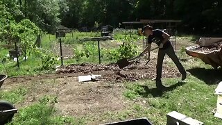 Mulching Garden & Making Flower Beds & Chick Hatching
