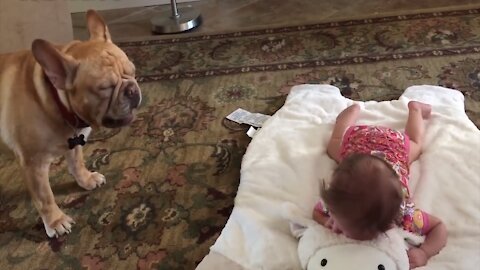 Dog Crying With Baby