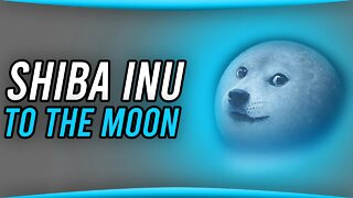 SHIBA INU COIN UPDATE AND NEWS