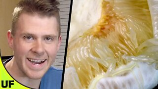 Honey Pomelo Taste Test + Recipe! | Unusual Foods